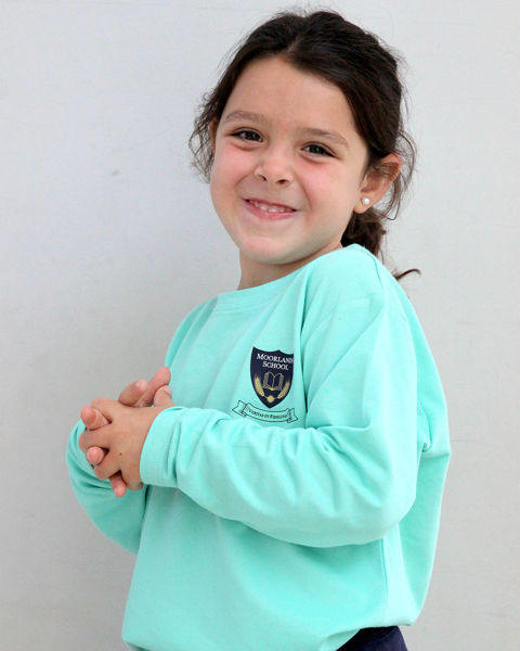 Imagen de Remera Manga Larga